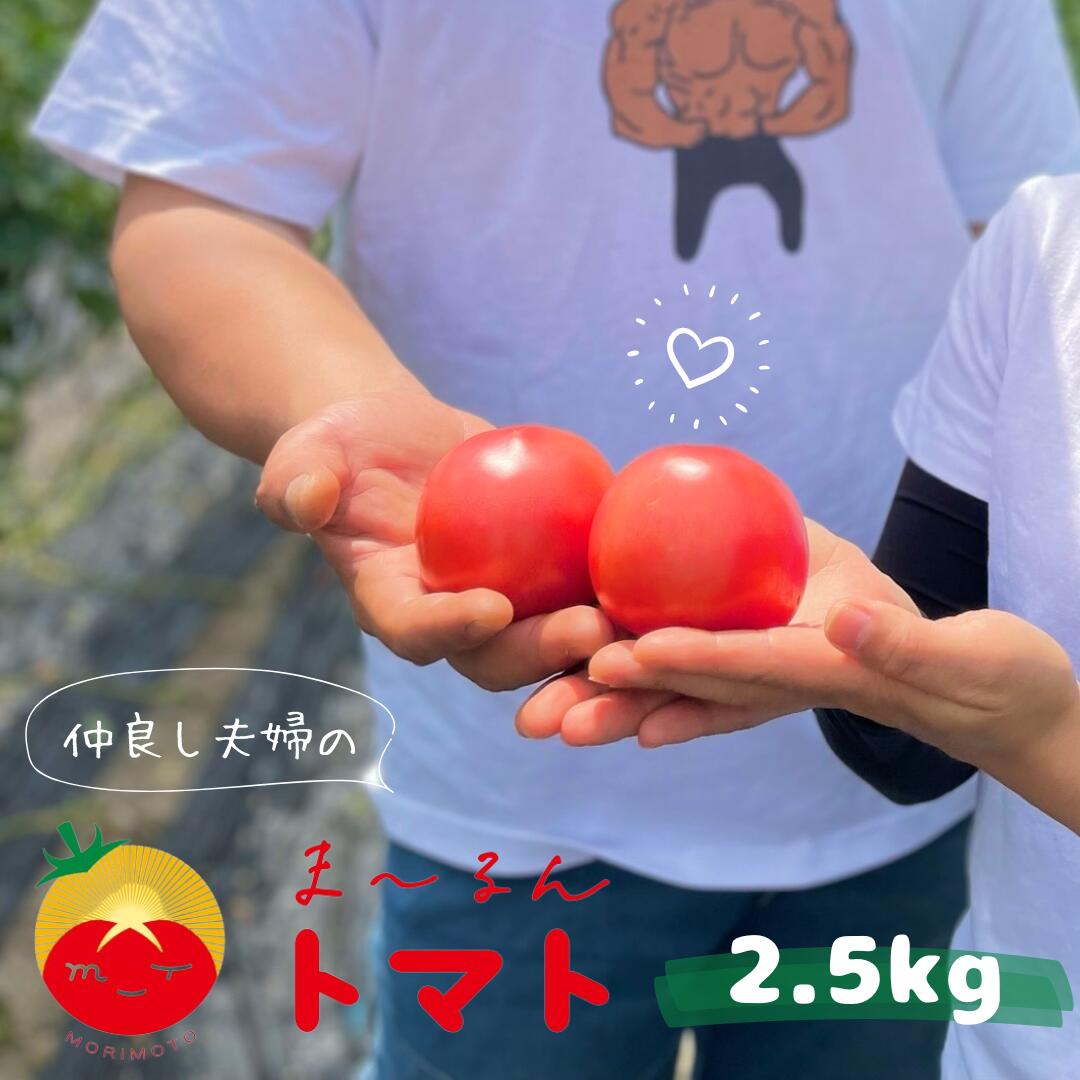 【ふるさと納税】熊野市産 仲良し夫婦の ま～るんトマト 2.5kg