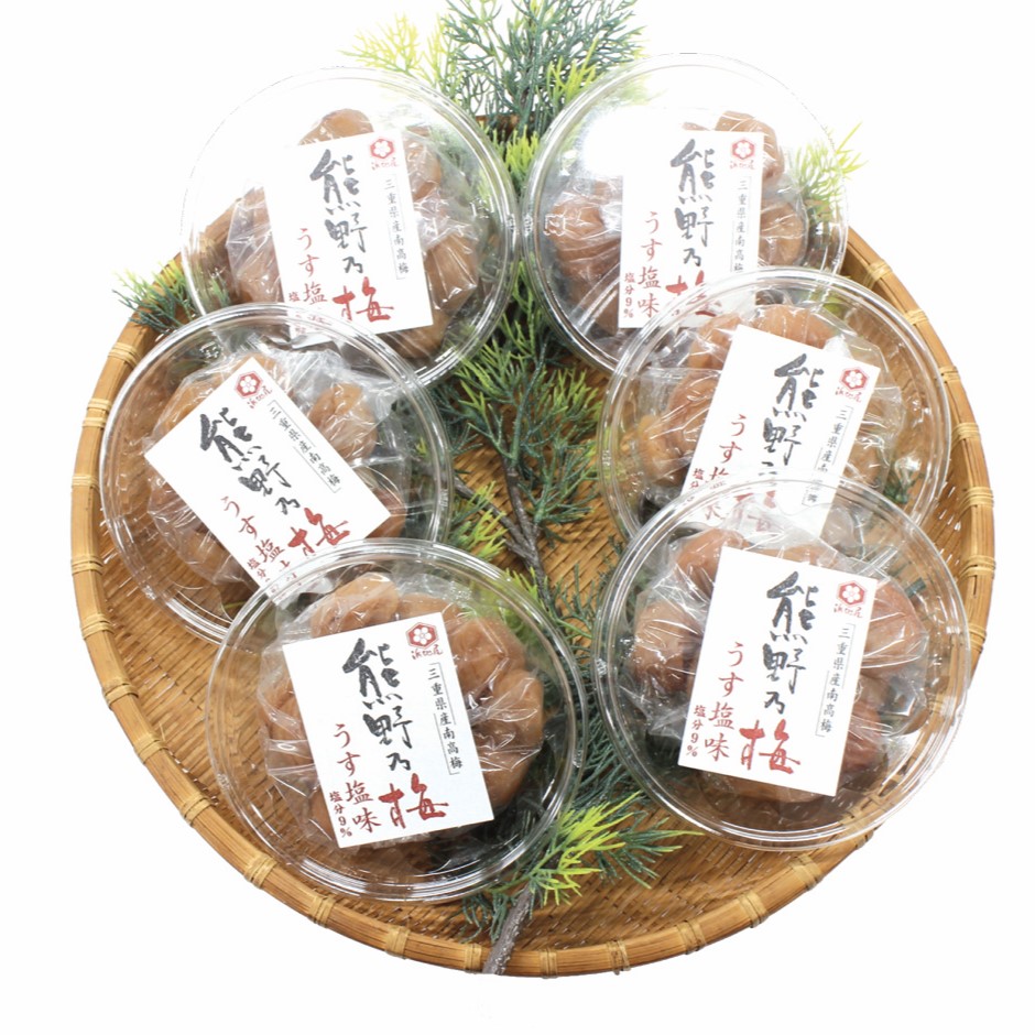 【ふるさと納税】 梅干し 熊野乃梅 うす塩 小分け 6パックセット 160g×6 三重 熊野市|三重県熊野市