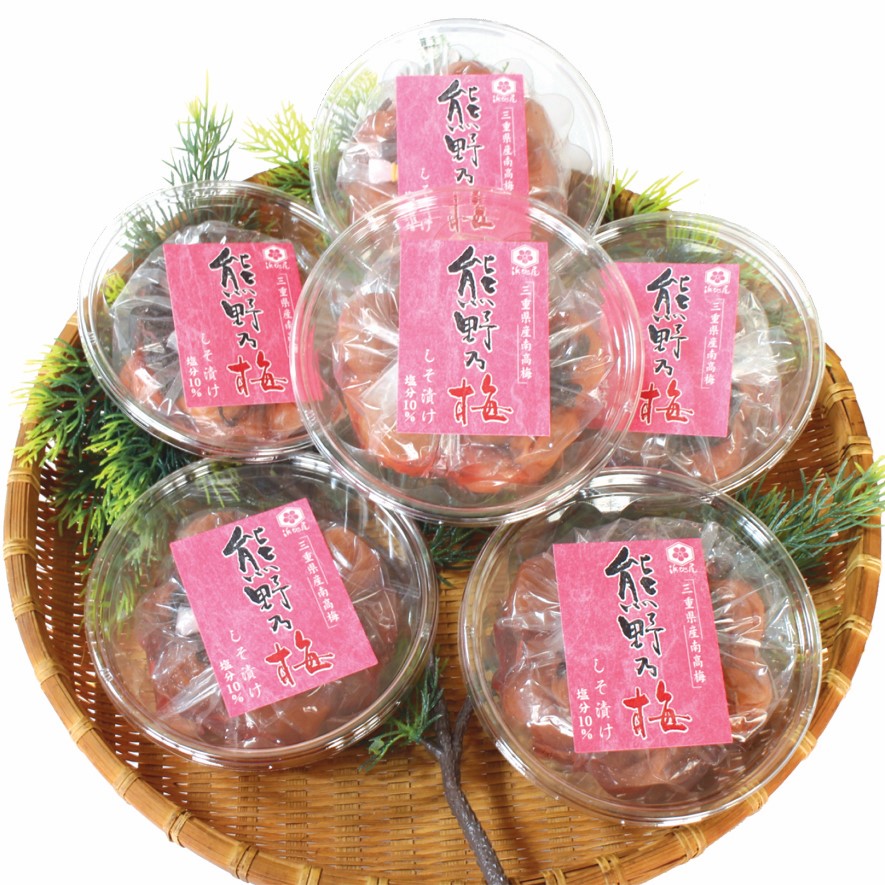 【ふるさと納税】 梅干し 熊野乃梅 しそ漬け 小分け 6パックセット 180g×6 三重 熊野市