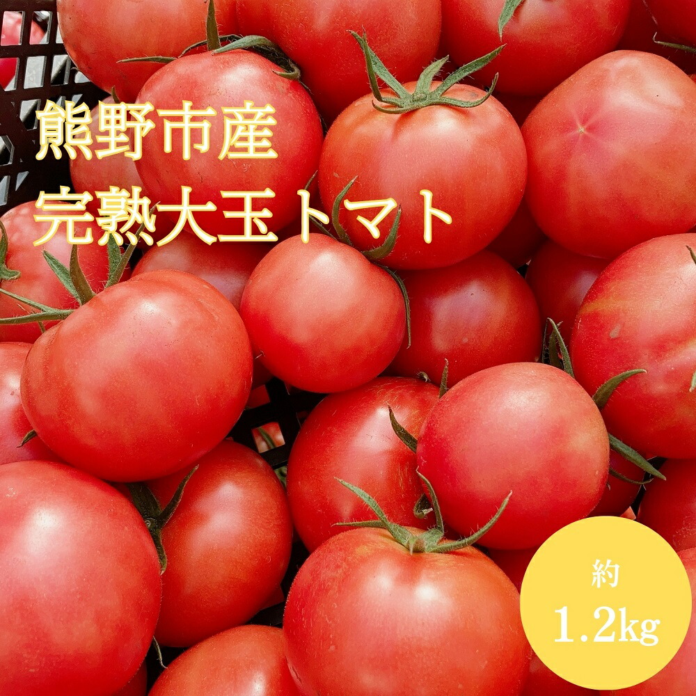 【ふるさと納税】【2025年12月以降配送】熊野薬草園の 大玉トマト（1.2kg）トマト 完熟トマト 甘い 大きい 野菜 果肉が厚い 甘酸っぱい 甘い 冬限定 熊野市