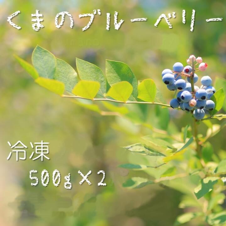 【ふるさと納税】 くまのブルーベリー(冷凍) 熊野精工 熊野 果物 フルーツ デザート おやつ スムージー