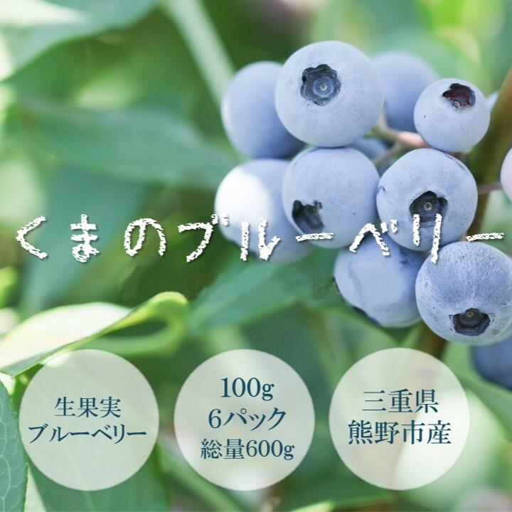 【ふるさと納税】 【先行受付】くまのブルーベリー(生果) 600g 熊野精工 熊野 果物 フルーツ デザート おやつ 旬