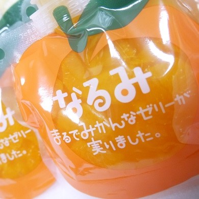 【ふるさと納税】 贅沢 果肉入り みかんゼリー なるみ 18個 化粧箱 6個入り×3箱 贈答用 ゼリー スイーツ みかん あま～い おやつ 凍らせてお弁当の保冷剤としても！