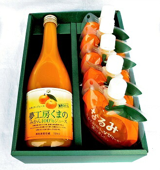 【ふるさと納税】 定番みかんジュースと「なるみ」の詰め合わせ♪【レギュラージュース720ml×1本・なるみ５個】 化粧箱 オレンジジュース みかんゼリー プレゼント 贈答用 三重県 熊野市