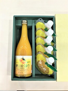 【ふるさと納税】 N みかんジュースと甘夏みかんゼリー「なつみ」の詰め合わせ♪【レギュラージュース720ml×1本・なつみ5個】化粧箱 オレンジジュース みかんゼリー プレゼント 贈答用 三重県 熊野市|三重県熊野市