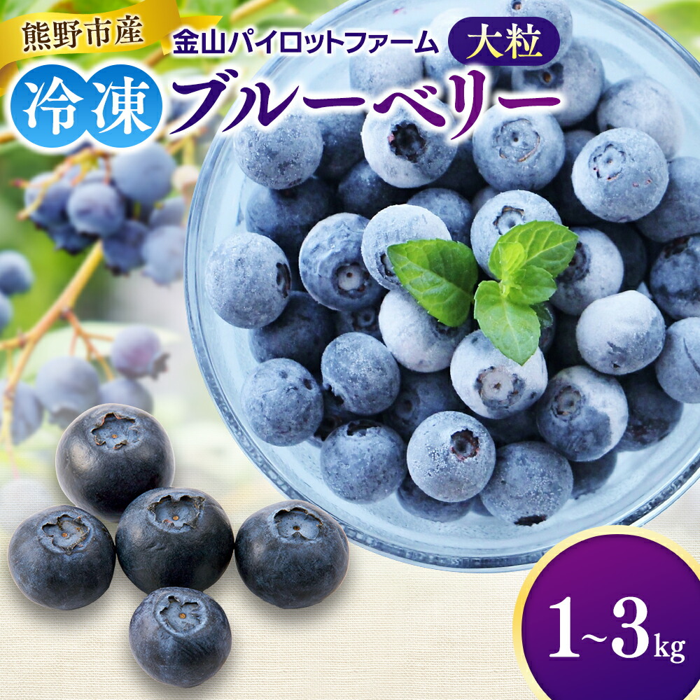 楽天市場】【ふるさと納税】2025年富谷市産 冷凍ブルーベリー1kg