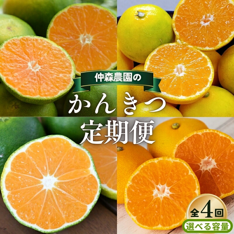 【ふるさと納税】 【全4回】仲森農園の 柑橘定期便 【選べる容量】 超極早生温州 極早生温州 由良早生 早生温州 みかん ミカン 蜜柑 温州みかん 温州ミカン 柑橘 みかん定期便 フルーツ定期便 果物定期便 柑橘定期便 フルーツ 果物 くだもの 甘い 三重県 熊野市 送料無料|三重県熊野市