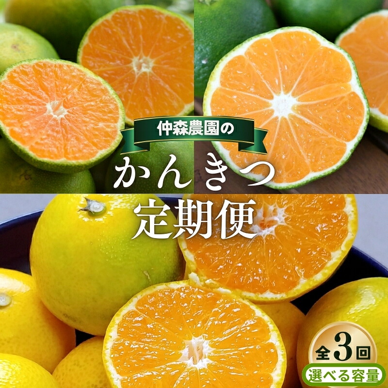 【ふるさと納税】 【全3回】仲森農園の 柑橘定期便 【選べる容量】 超極早生温州 極早生温州 由良早生 みかん ミカン 蜜柑 温州みかん 温州ミカン 柑橘 みかん定期便 フルーツ定期便 果物定期便 柑橘定期便 フルーツ 果物 くだもの 甘い 旬 人気 三重県 熊野市 送料無料|三重県熊野市