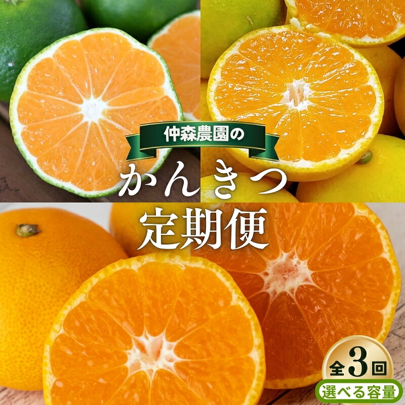 【ふるさと納税】 【全3回】仲森農園の 柑橘定期便 【選べる容量】 極早生温州 由良早生 早生温州 みかん ミカン 蜜柑 温州みかん 温州ミカン 柑橘 みかん定期便 フルーツ定期便 果物定期便 柑橘定期便 フルーツ 果物 くだもの 甘い 旬 人気 三重県 熊野市 送料無料|三重県熊野市