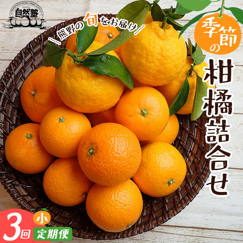 楽天市場】【ふるさと納税】 みかん 定期便 3回 5回 季節の柑橘詰合せ