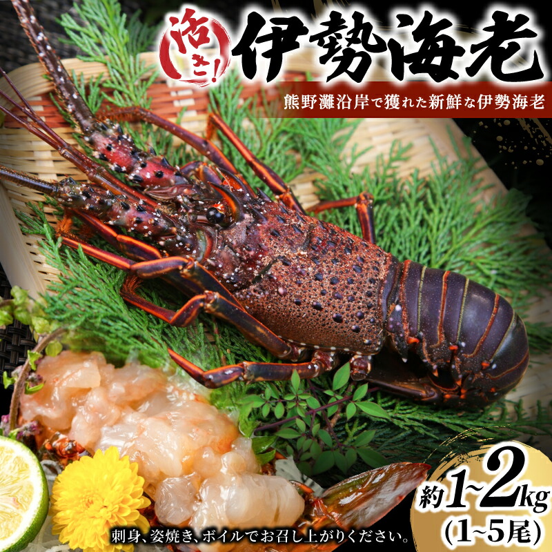 【ふるさと納税】 【年内配送】伊勢海老 活き 約1kg 2kg 化粧箱入り 伊勢えび イセエビ 海老 えび エビ【選べる容量】【配送日指定必須】