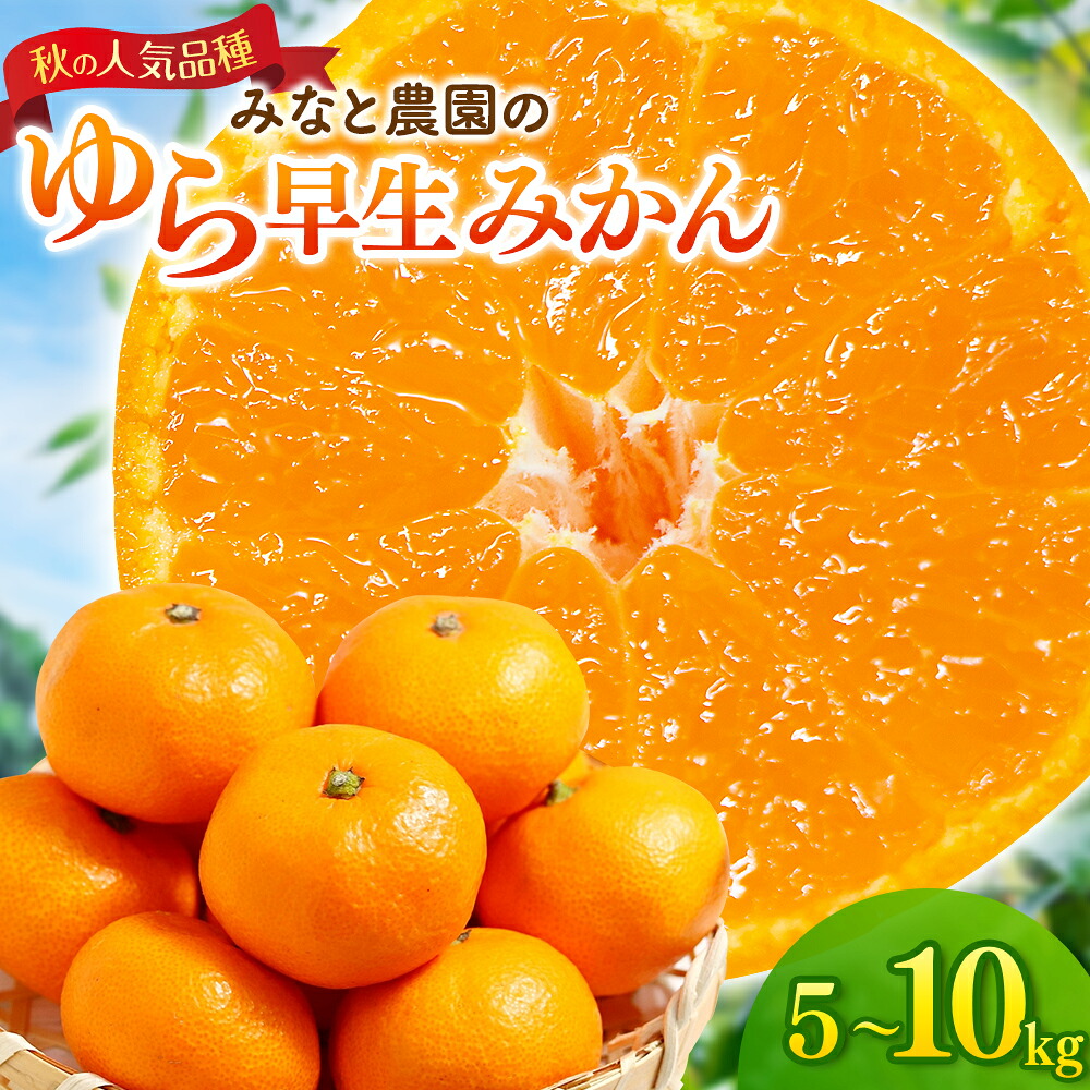 【ふるさと納税】 みかん 数量限定 ゆら早生みかん 5kg 10kg 選べる 容量 2S～L サイズ混合 由良早生 ミカン 柑橘 フルーツ 果物 果実 甘い 濃厚 旬 人気 先行予約 産地直送 国産 特産品 お取り寄せ 三重県 熊野市 送料無料 【10月中旬頃～順次発送】｜三重県熊野市