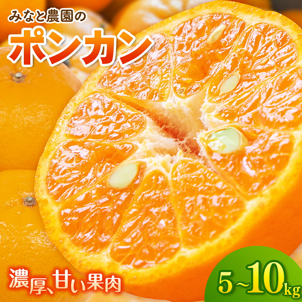 【ふるさと納税】 みかん 数量限定 ポンカン 5kg 10kg 選べる 容量ミカン 柑橘 フルーツ 果物 果実 甘い 濃厚 ジューシー 旬 人気 先行予約 産地直送 国産 特産品 お取り寄せ 期間限定 三重県 熊野市 送料無料 【2027年2月上旬頃～順次発送】｜三重県熊野市