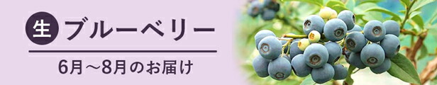 楽天市場】【ふるさと納税】ふるさとの味 昔ながらのすっぱいしそ漬け梅干し 400ｇ : 三重県熊野市