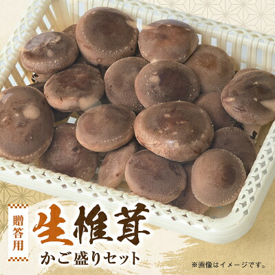 【ふるさと納税】贈答品用椎茸かご盛りセット【配送不可地域:離島】【1201244】|三重県いなべ市