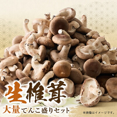 【ふるさと納税】椎茸大量てんこ盛りセット【配送不可地域：離島】【1201273】