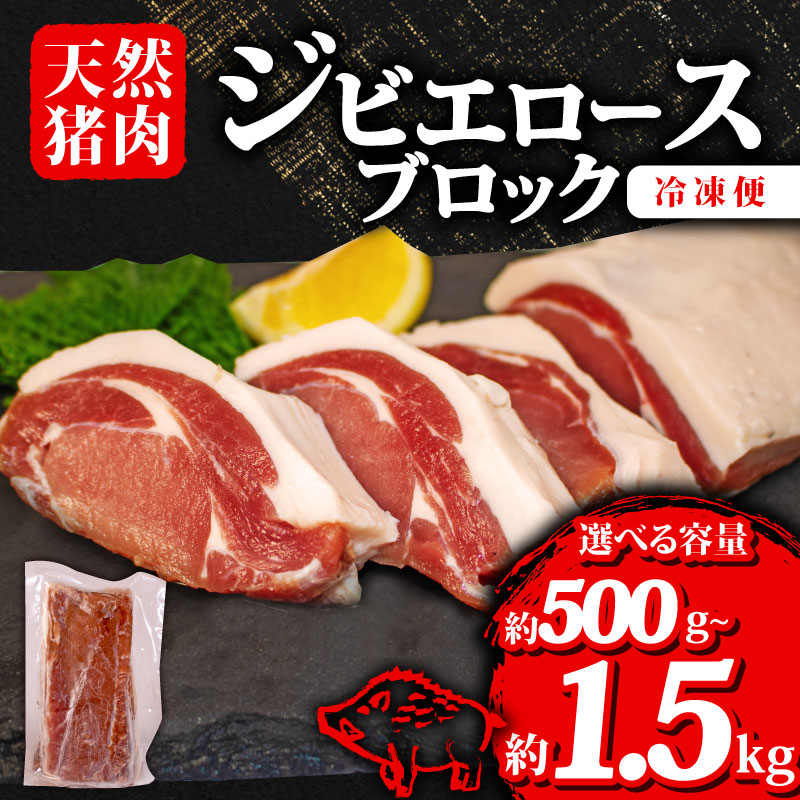 【ふるさと納税】 選べる 容量 ジビエ ロース ブロック 約500g~約1.5kg 冷凍 小分け 猪肉 天然 ロース肉 イノシシ肉 いのしし肉 ステーキ 焼肉 BBQ バーベキュー カレー シチュー アウトドア キャンプ ヘルシー ジビエ料理 肉料理 家庭料理 肉 伊勢 志摩 三重県 旬