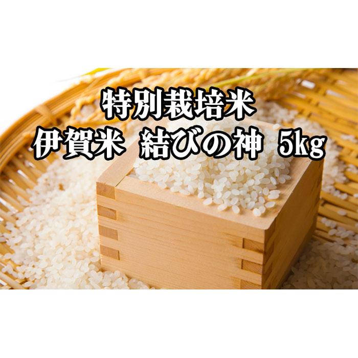 楽天市場】【ふるさと納税】令和6年産 伊賀米コシヒカリ 8kg
