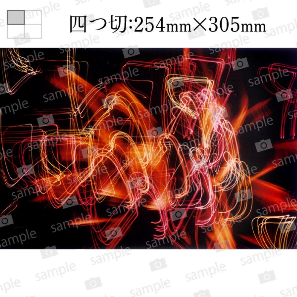 【ふるさと納税】石原 健哉撮影写真 四つ切「華の舞」伊賀 2019年(額付き）