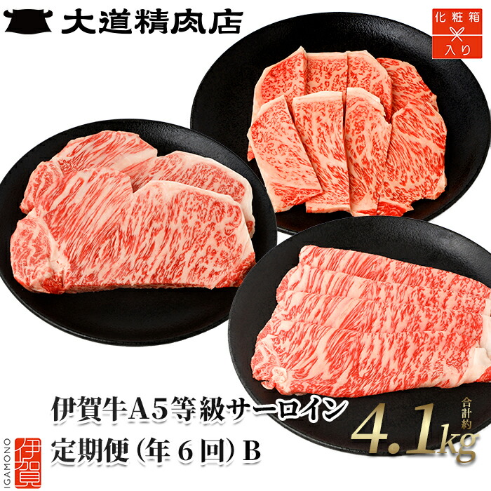 【ふるさと納税】 【年6回】伊賀牛 A5サーロイン 定期便コースB 総合計約4.1kg