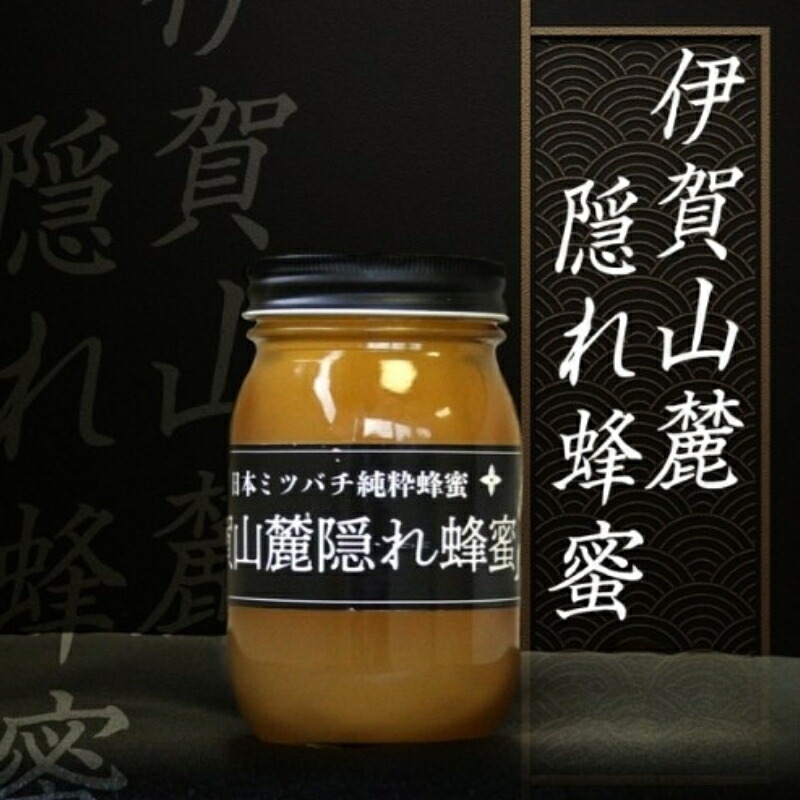 【ふるさと納税】 日本ミツバチ 純粋蜂蜜 百花蜜 「伊賀山麓蜂蜜隠れ蜂蜜」 600g|三重県伊賀市