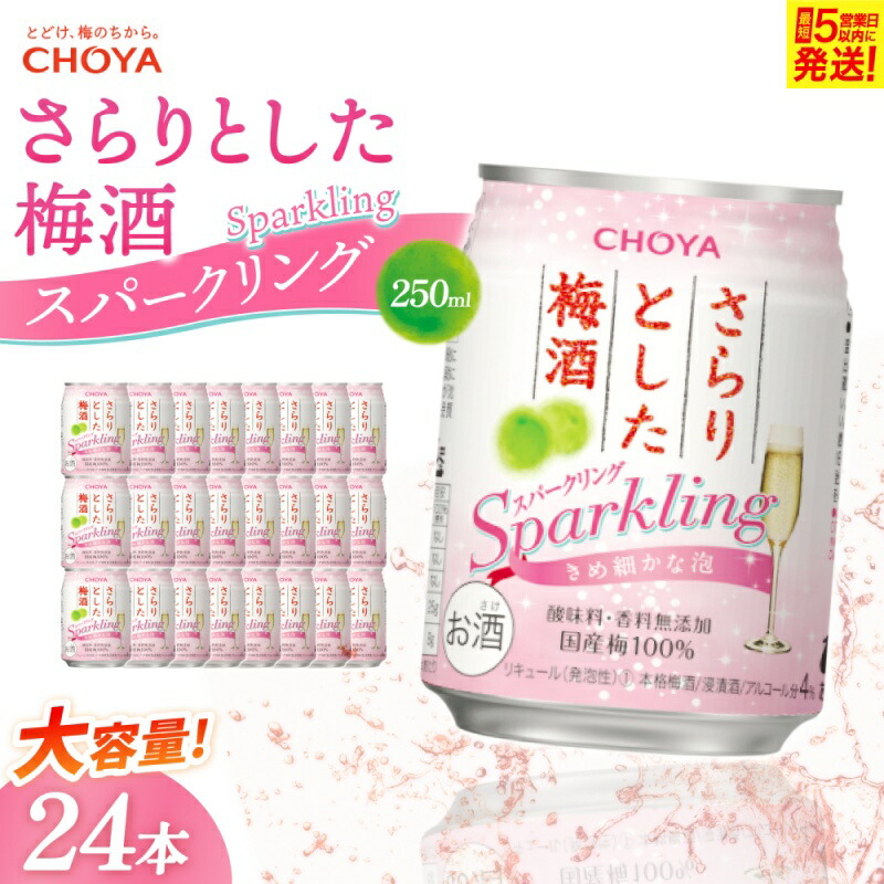 【ふるさと納税】梅酒 《チョーヤ梅酒 さらりとした梅酒スパークリング》(250ml缶×24本)/さーらりとした梅酒!でお馴染みの梅酒をスパークリングでお届け! 梅酒 梅 ウメ スパークリング 缶 飲料 人気 おすすめ お酒 さけ 果実 炭酸 250ml 24本 送料無料|三重県伊賀市