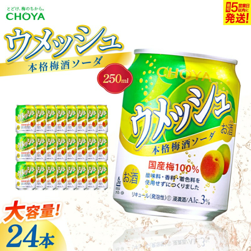 【ふるさと納税】 チョーヤ ウメッシュ 本格梅酒ソーダ缶 250ml×24本【igge0016】