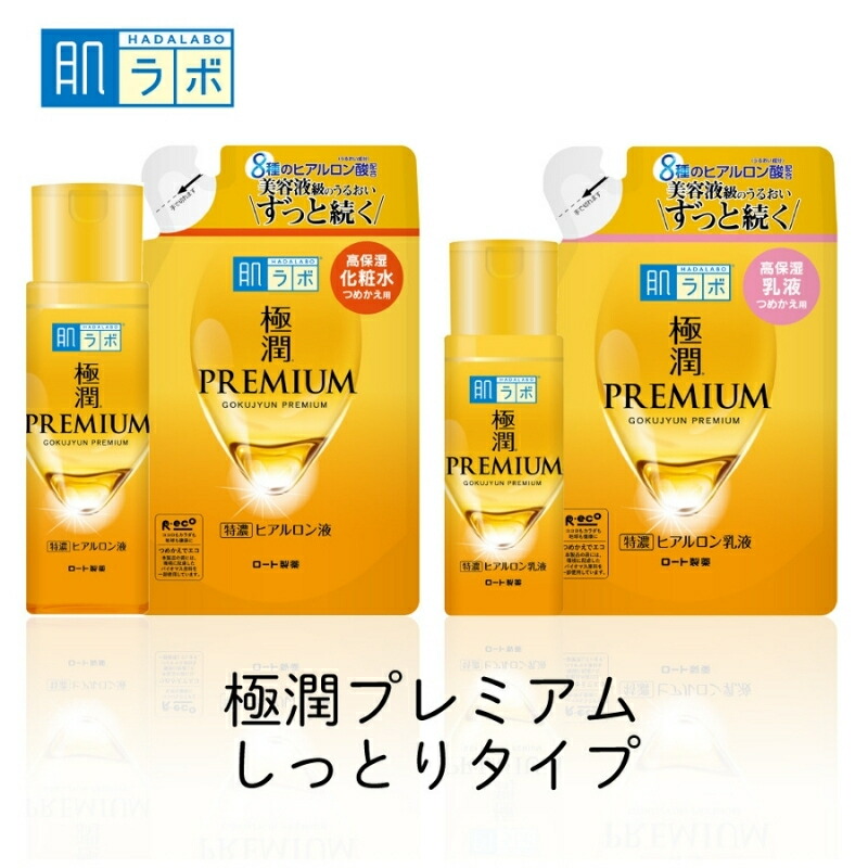 【ふるさと納税】 ロート製薬 【 肌ラボ 極潤プレミアム 】 化粧水 ＋ 乳液 4点 セット （各ボトル＋つめかえ用） / スキンケア コスメ 化粧水 乳液 美容 化粧 お肌 【roht0005】