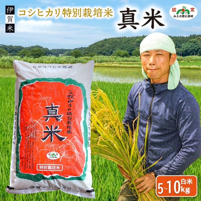 【ふるさと納税】 伊賀米コシヒカリ特別栽培米「真米」白米 ＜5kg～10kgから選べます＞