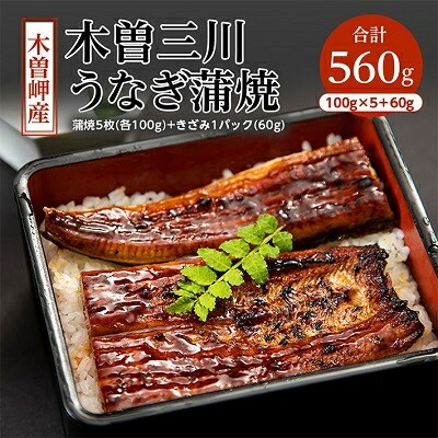 【ふるさと納税】木曽岬産「木曽三川うなぎ」うなぎ蒲焼5枚(各100g)+きざみ(60g)付【配送不可地域：離島】【1028066】