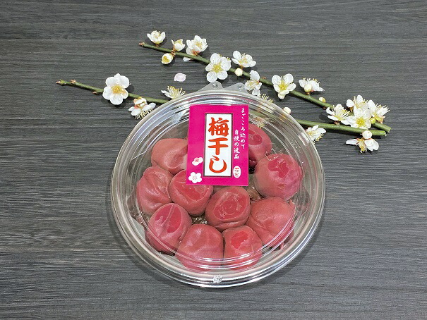 ふるさと納税 Th 03 40年作り続けてきた無添加梅干し 大梅 と赤しそふりかけのセット Th 03 昔懐かしのしょっぱさ お申込み状況によっては 梅干しは長期保存 Painandsleepcenter Com