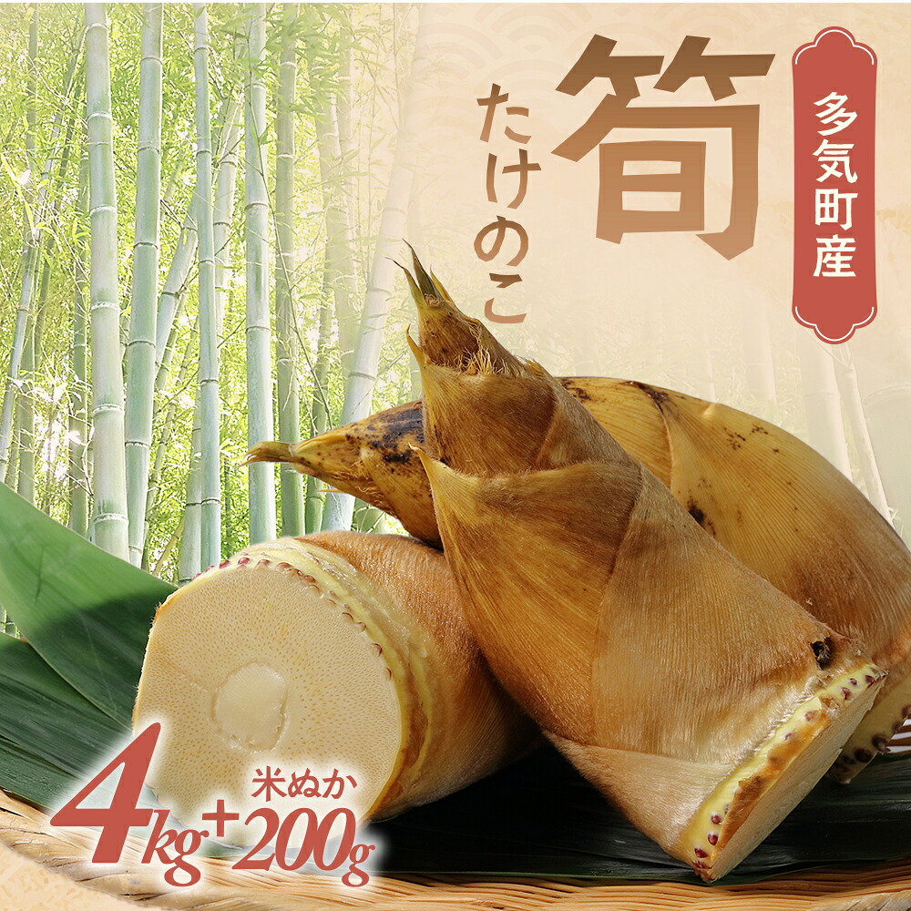 楽天市場】【ふるさと納税】＜先行予約受付中！2026年2月下旬以降順次