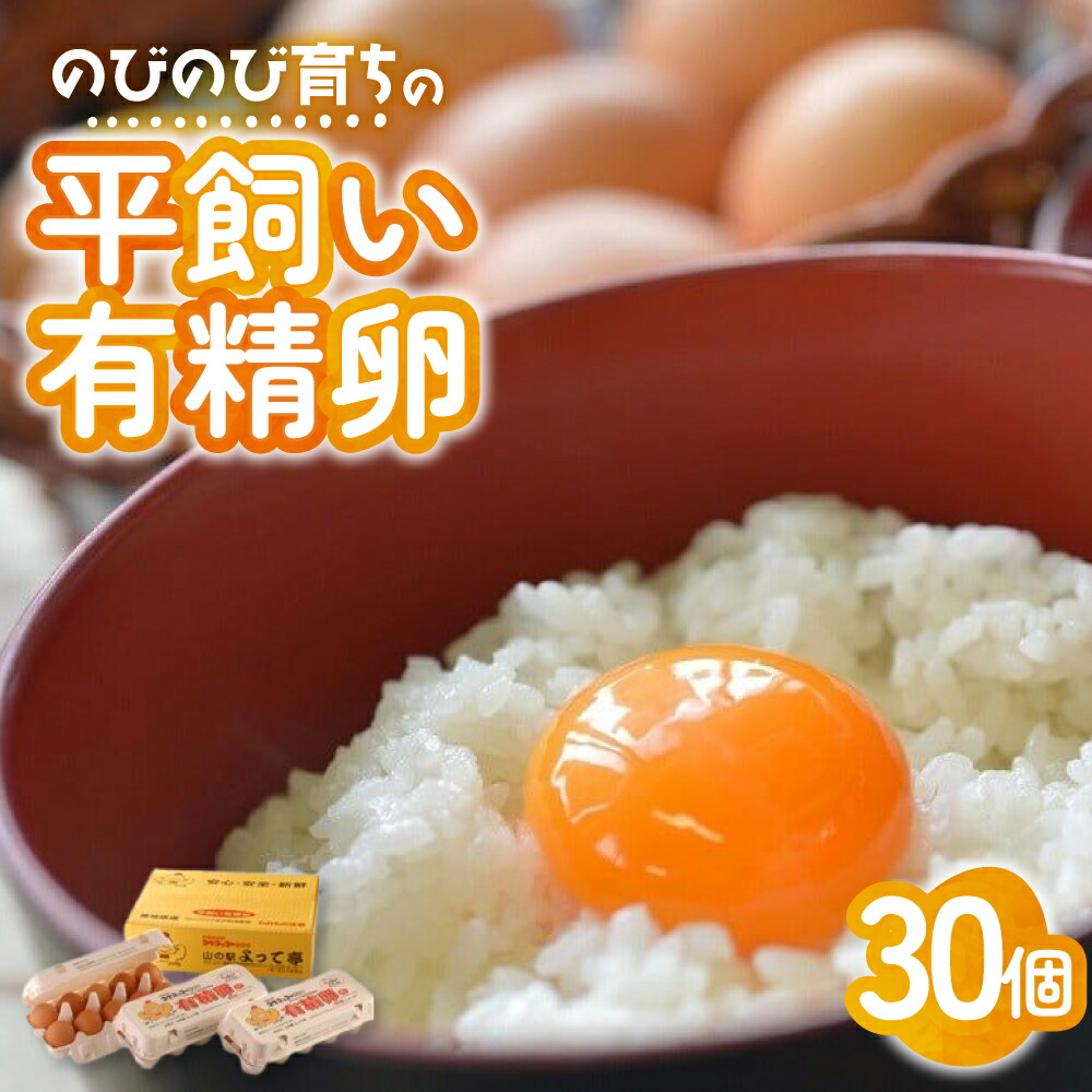 【ふるさと納税】のびのび育ちの平飼い有精卵 30個 （10個入×3P） 平飼い 有精卵 たまご 卵 玉子 タマゴ 鶏卵 オムレツ 卵かけご飯 たまご焼き 国産 すき焼き 三重県 多気町 JK-03
