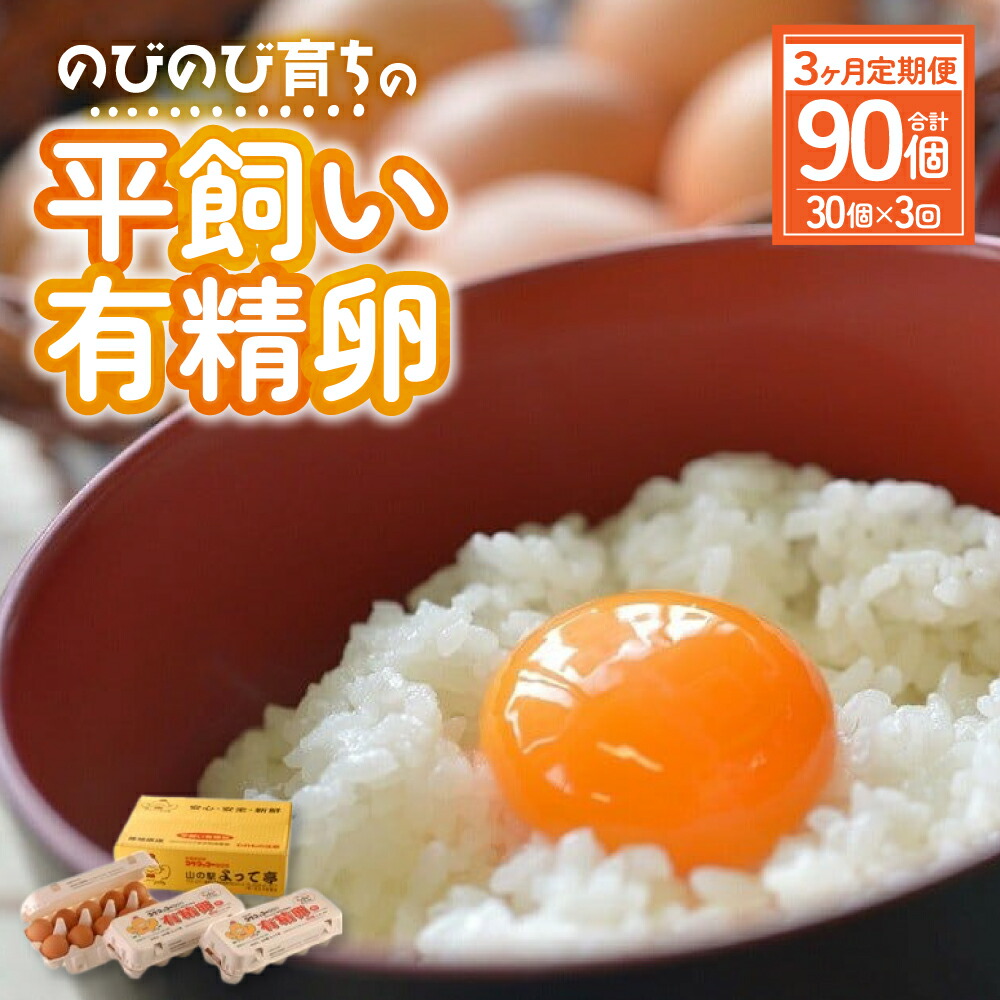 【ふるさと納税】【3ヶ月定期便】計90個 のびのび育ちの平飼い有精卵 30個×3ヶ月 定期 定期便 平飼い 有精卵 たまご 卵 玉子 タマゴ 鶏卵 オムレツ 卵かけご飯 たまご焼き 国産 すき焼き 三重県 多気町 JK-04