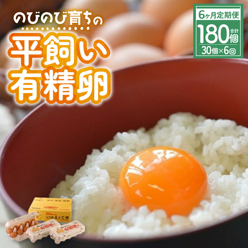 【ふるさと納税】【6ヶ月定期便】計180個 のびのび育ちの平飼い有精卵 30個×6ヶ月 定期 定期便 平飼い 有精卵 たまご 卵 玉子 タマゴ 鶏卵 オムレツ 卵かけご飯 たまご焼き 国産 すき焼き 三重県 多気町 JK-05