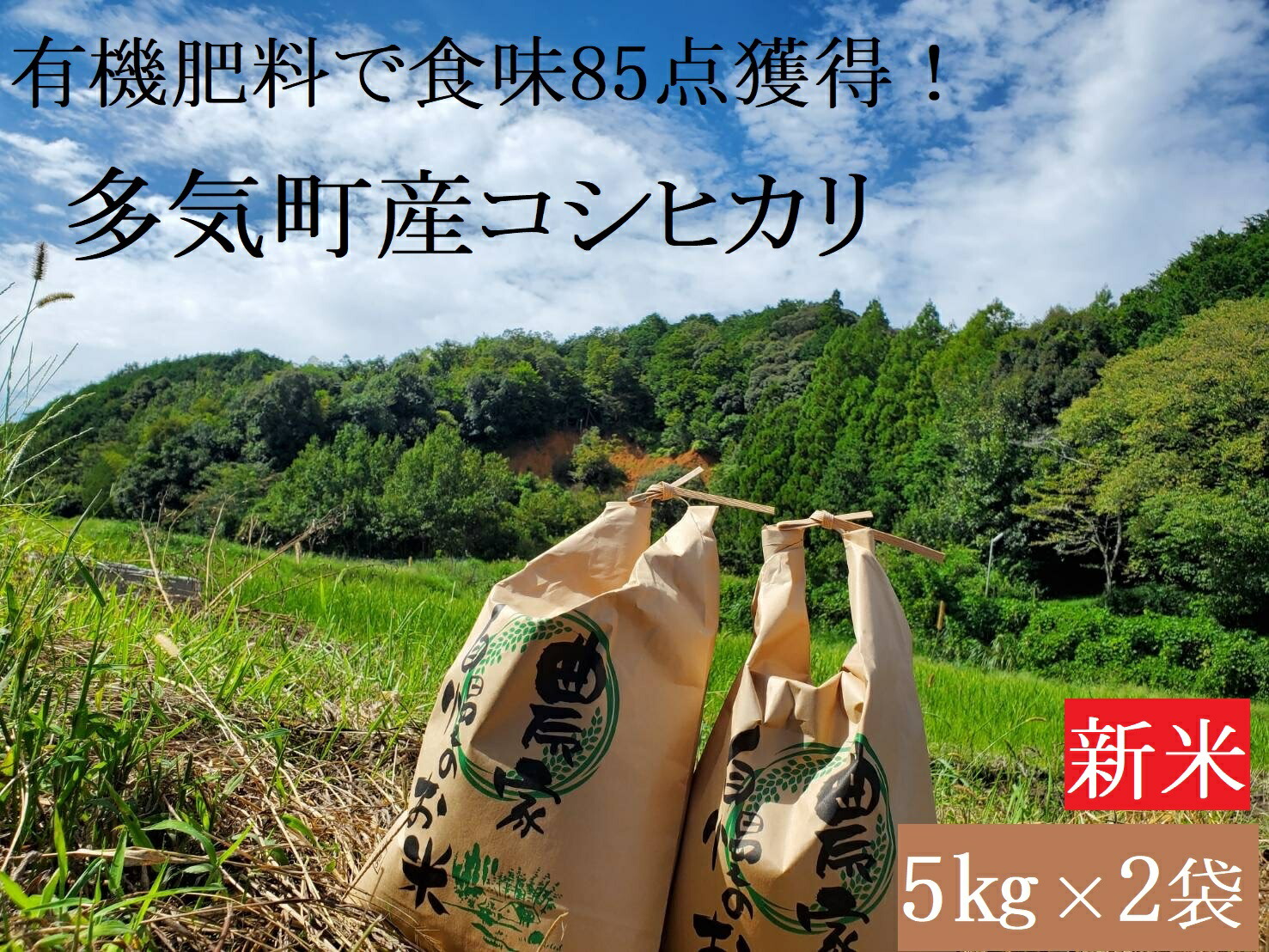 楽天市場】【ふるさと納税】【令和６年産新米】 食味85点を獲得！有機