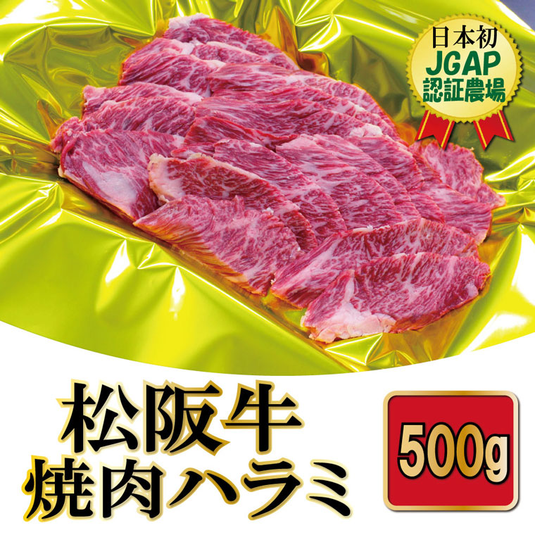 専門店では ふるさと納税 三重県明和町 600g F2松阪牛サーロインステーキ 牛肉