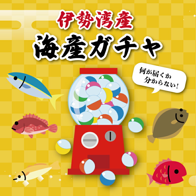 【ふるさと納税】 伊勢湾直送 なにが届くかな 明和の海産ガチャ 魚 貝 干物 海藻 新鮮 海鮮 海産 直送 海 漁師 おまかせ 旬 季節 お楽しみ 選べる内容量 U2 I52 J33