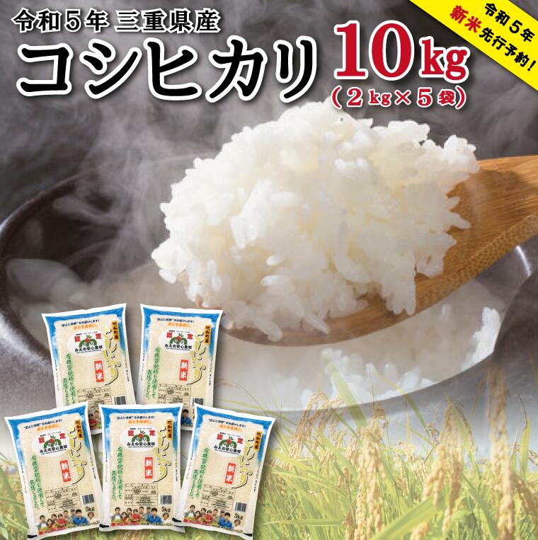 減農薬 少量 食べきりコシヒカリ 循環精米 令和5年産 ＊精米10キロ