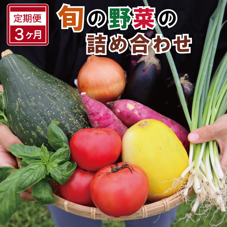 【ふるさと納税】 旬の野菜 詰め合わせ 6～7品以上 連続3か月 【 定期便 】 おまかせ セット 産地直送 新鮮 野菜 季節の野菜 旬 直売所 直送 連続 新鮮 ja1