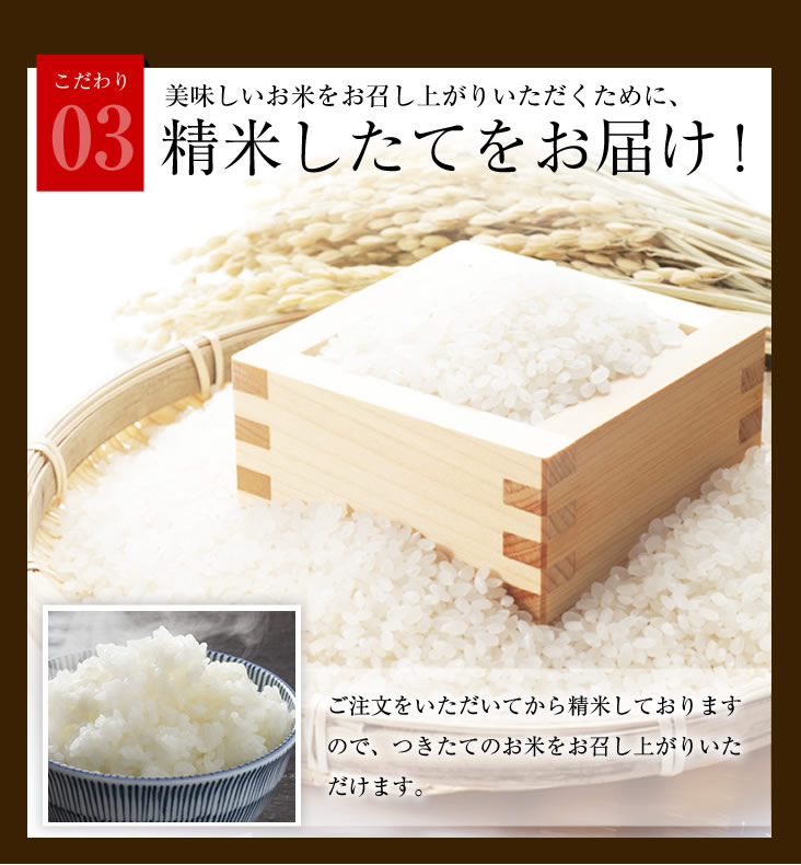 こだわりのお米 令和3年 埼玉県産 検査米1等級 新米コシヒカリ 白米