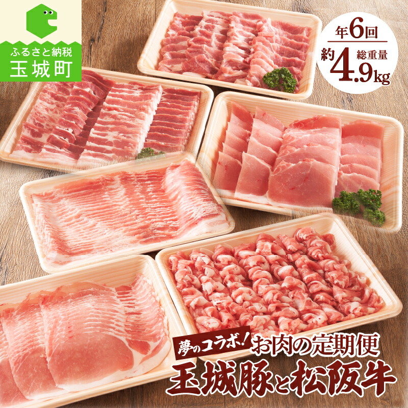 【ふるさと納税】 定期便 隔月 6回 豚肉 牛肉 松阪牛 玉城豚 国産 焼肉 すき焼き しゃぶしゃぶ ステーキ とんてき セット 奇数月 6ヶ月 ポーク ビーフ 松坂牛 お肉 国産 ブランド牛 ブランド豚 三重県産 BBQ ふるさと味工房アグリ 朝日屋 三重県 玉城町