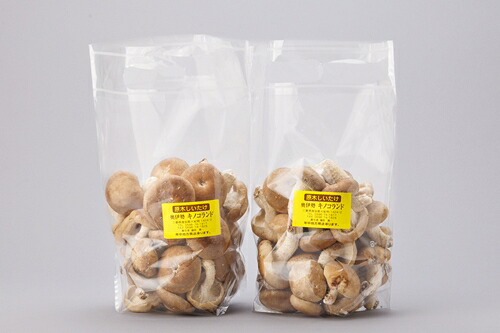【ふるさと納税】原木　生椎茸　1.2kg／キノコランド　ふるさと納税　大紀ブランド　お取り寄せグルメ　キノコ　きのこ　三重県　大紀町｜三重県大紀町