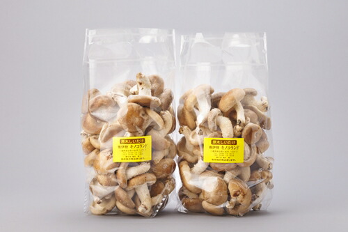 楽天市場】【ふるさと納税】三重県産 原木 乾燥椎茸／藤原椎茸