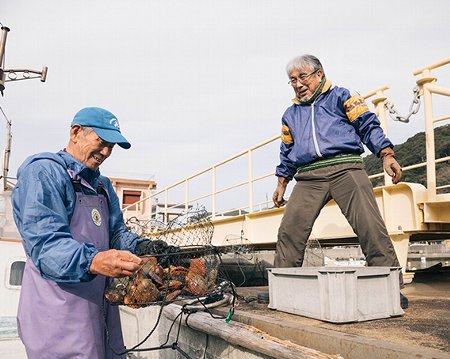 ふるさと納税 封鎖 アッパッパ甲殻類 3個お代 3嚢 貝 ヒオウギ あっぱっぱ 溟海鮮 海の仕合せ 南伊勢郷村 伊勢志摩 Digitalland Com Br