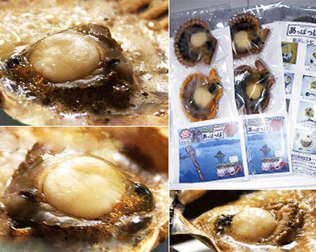 ふるさと納税 封鎖 アッパッパ甲殻類 3個お代 3嚢 貝 ヒオウギ あっぱっぱ 溟海鮮 海の仕合せ 南伊勢郷村 伊勢志摩 Digitalland Com Br