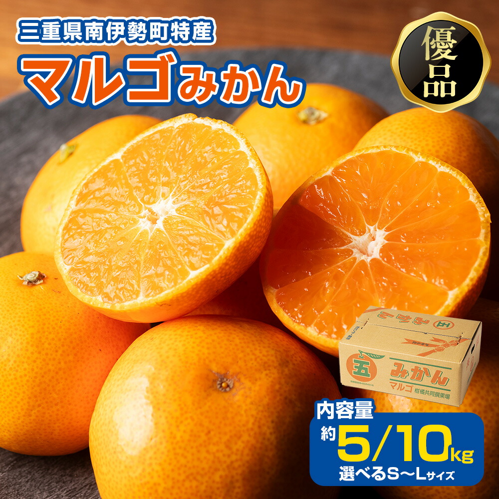 楽天市場】【ふるさと納税】 先行予約 柑橘 定期便 2回 温州みかん せ