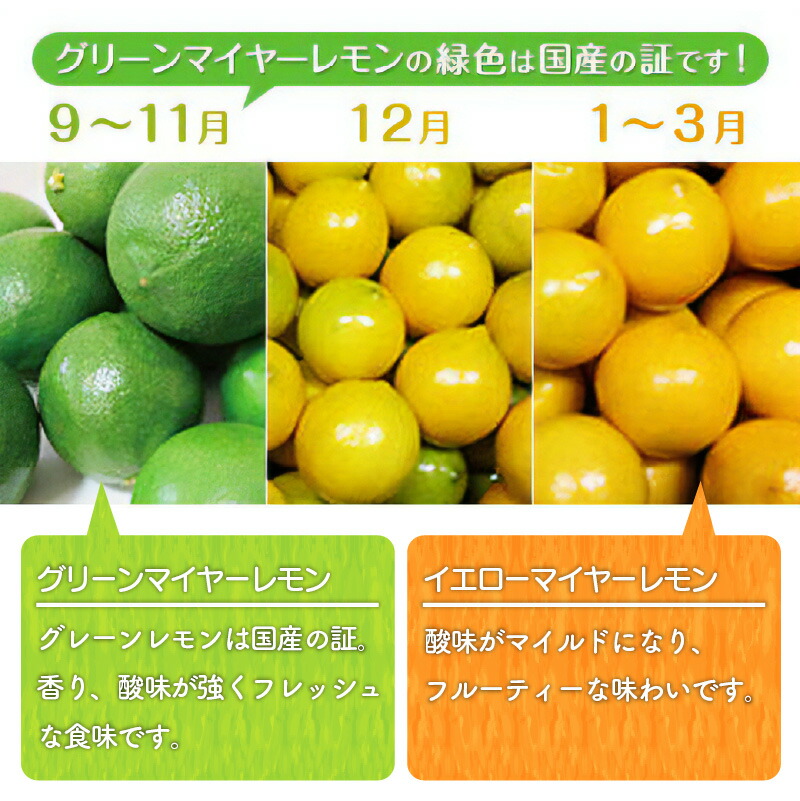 楽天市場 ふるさと納税 たかみ農園マイヤーレモンセット 希少 国産 三重県御浜町