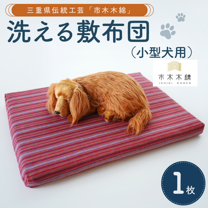 柑橘特集