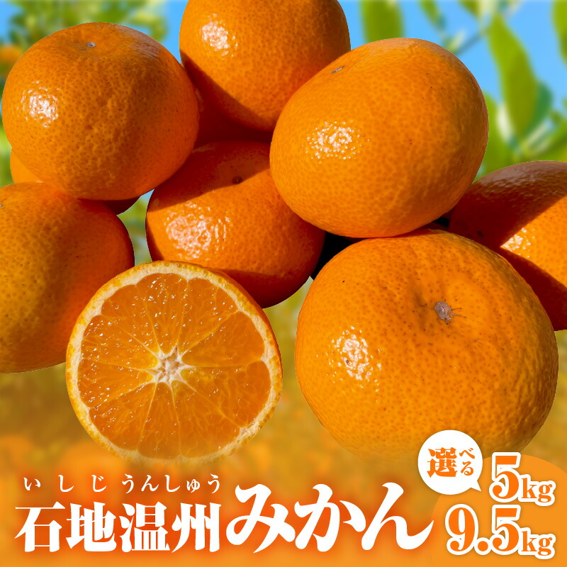 楽天市場】【ふるさと納税】ゼロイチふぁーむ みかん 早生温州